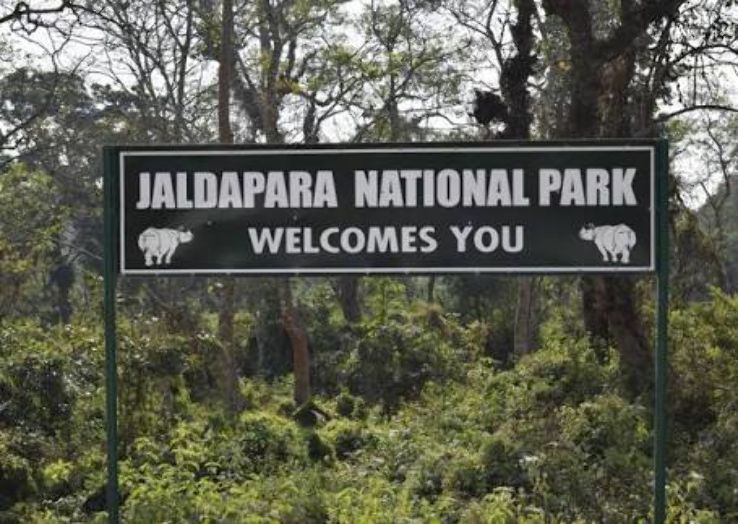 Jaldapara National Park  Trip Packages